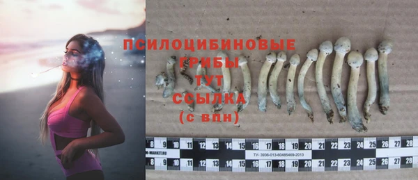 синтетический гашиш Михайловск