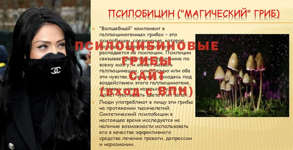 ГАЛЛЮЦИНОГЕННЫЕ ГРИБЫ Михайловка
