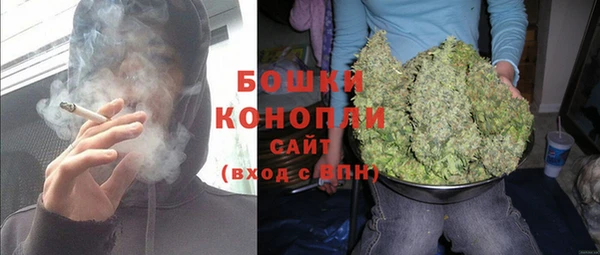 ГАЛЛЮЦИНОГЕННЫЕ ГРИБЫ Михайловка