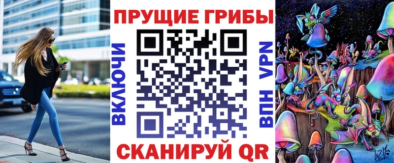 Галлюциногенные грибы Cubensis Сурск