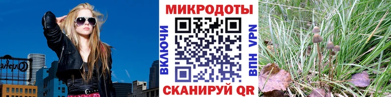 Псилоцибиновые грибы Psilocybe  Сурск 